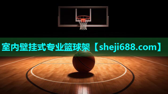 室内壁挂式专业篮球架